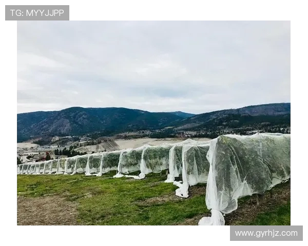 国家德比票价曝光最低135欧入场，贵宾席近千欧考验球迷腰包